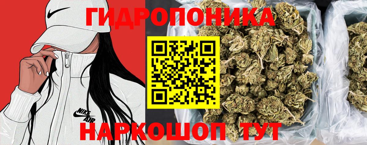 Бошки марихуана сатива Анапа